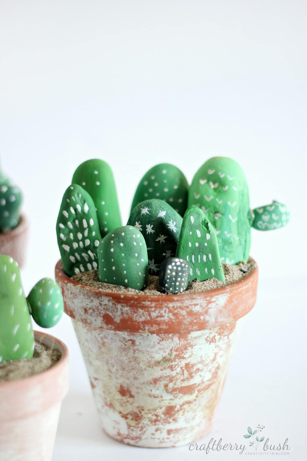 Cactus sassi dipinti passion diy