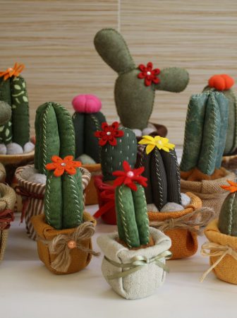 Morbidi Cactus