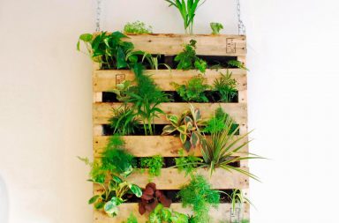 Pallet Garden