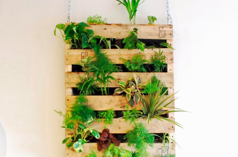 Passion diy contenitore di idee artigianali Pallet porta fiori