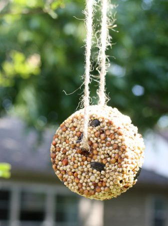 Birdseed Cakes