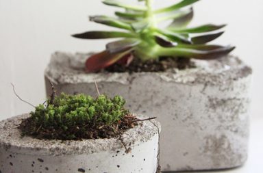 Concrete Planters