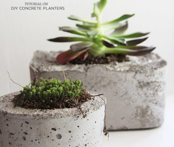 Concrete Planters