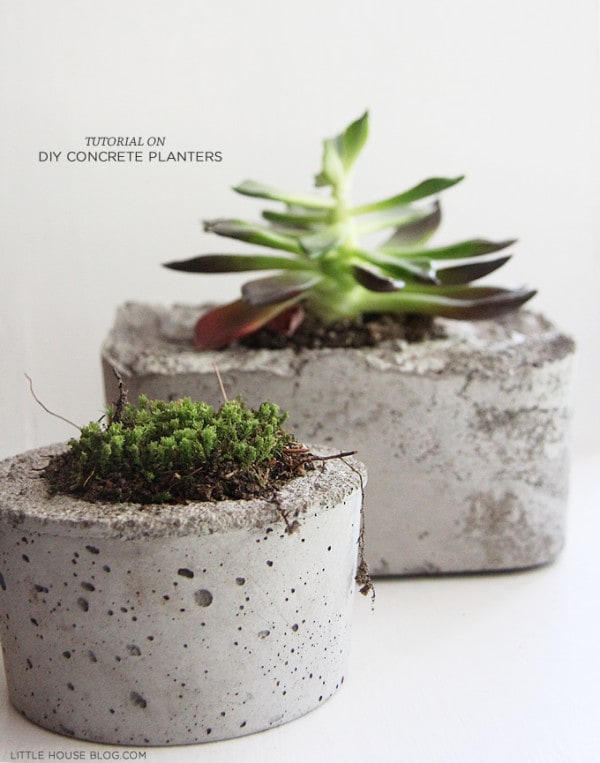 Concrete Planters