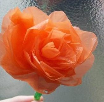 Sacchetto di plastica trasformato in fiore
