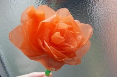 Sacchetto di plastica trasformato in fiore