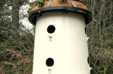 Plant Pot Bird House