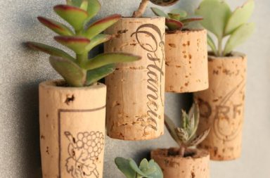 Wine Cork Magnet Planters