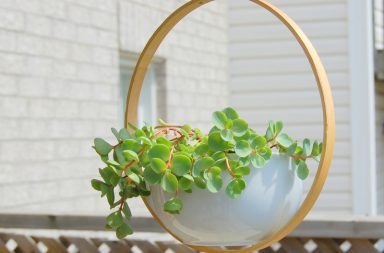 DIY Hanging Planter