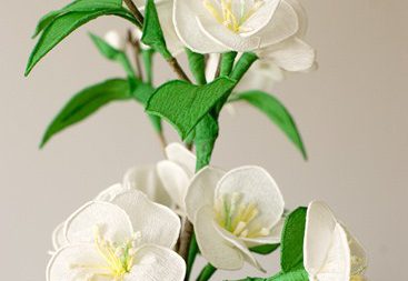 Fiori Bianchi di Carta Crespa