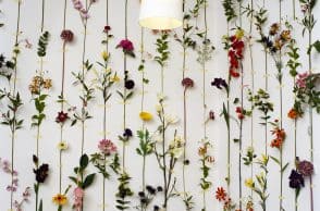 Flowers Wall Decor