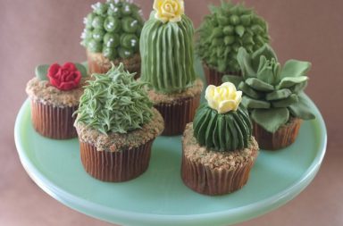 House Plant Cupcakes