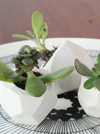 Mini Plant Pot