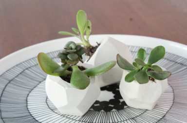 Mini Plant Pot