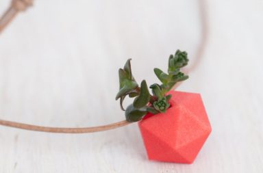 Collana Ecologica Wearable Planter