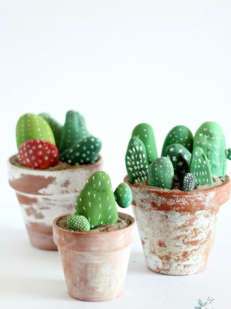 Cactus Sassi Dipinti