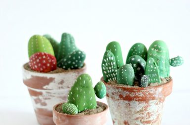 Cactus Sassi Dipinti