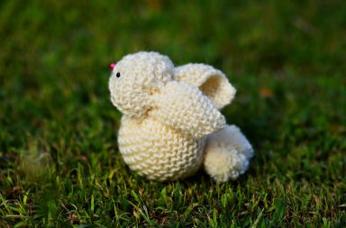Coniglietto di lana: una tecnica unica!