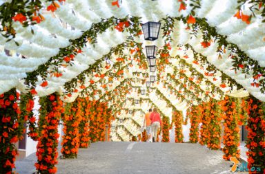 Festas do Povo, una città decorata con la carta