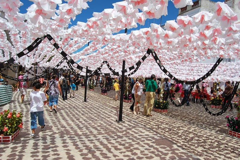 festa-dei-fiori-portogallo