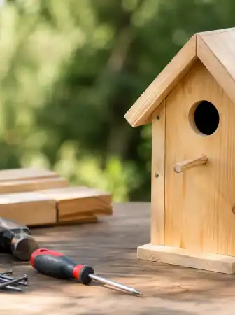 Come costruire casetta uccelli in legno