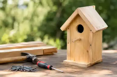Come costruire casetta uccelli in legno